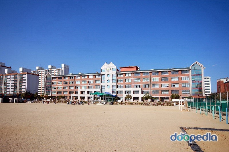 신백초등학교