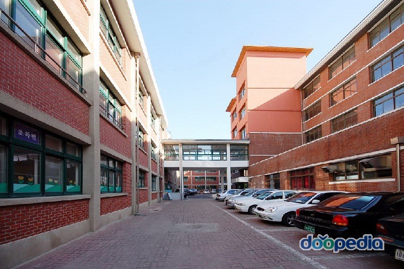 신백초등학교