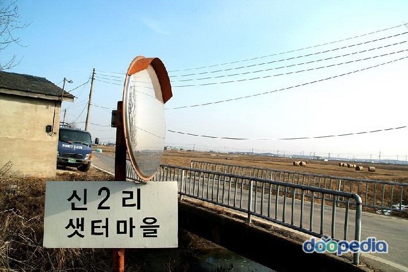 신리