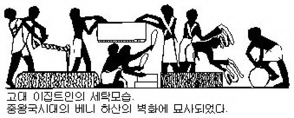 세탁