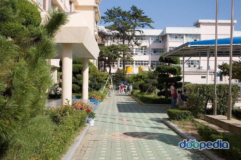 양지초등학교 - 양지초등학교 교정