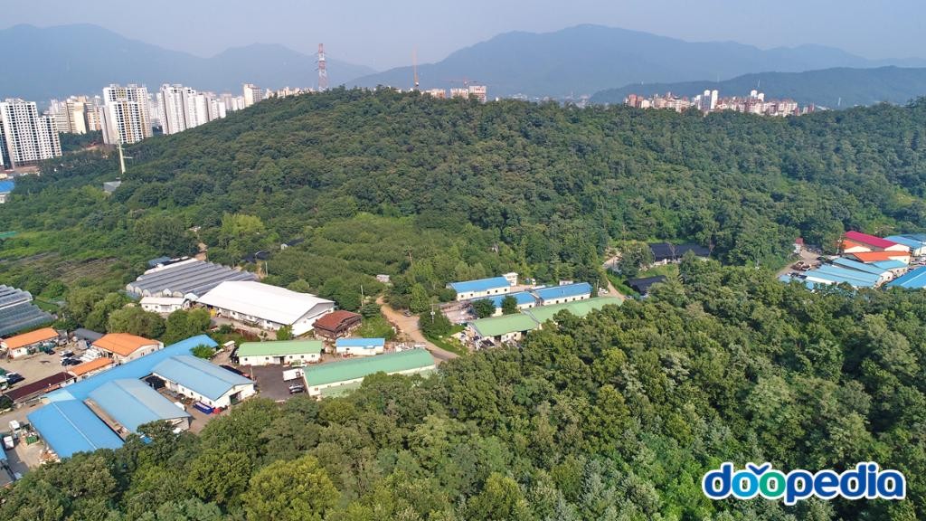초일동