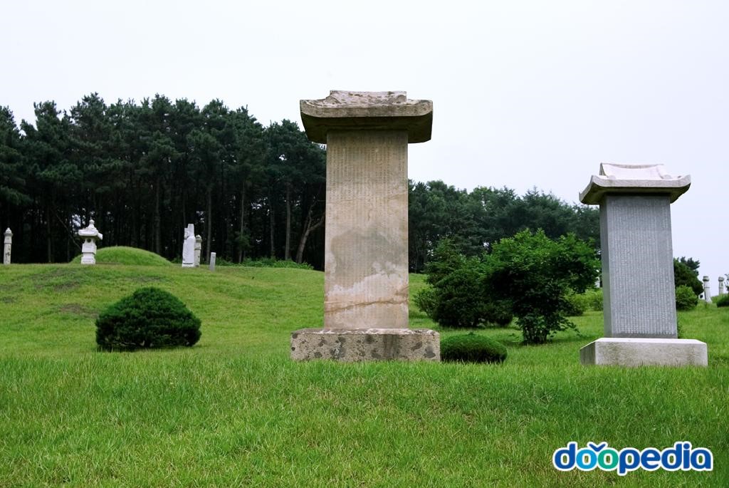 윤강선생묘 및 신도비