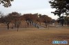 진주성