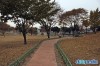 진주성