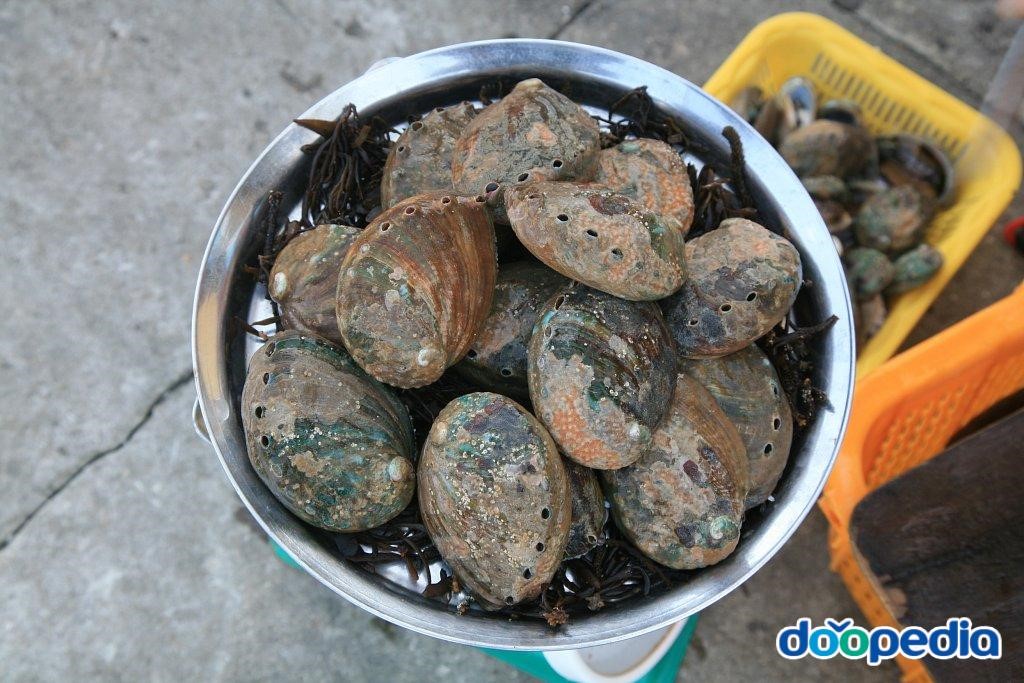 흑산도 - 흑산도 전복 5만원 어치