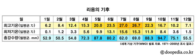 리옹 본문 이미지 1