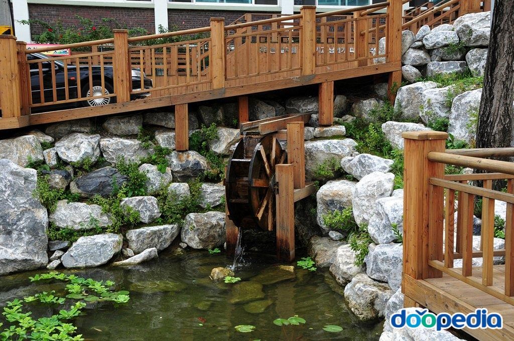 동해삼육초등학교 - 삼육초등학교