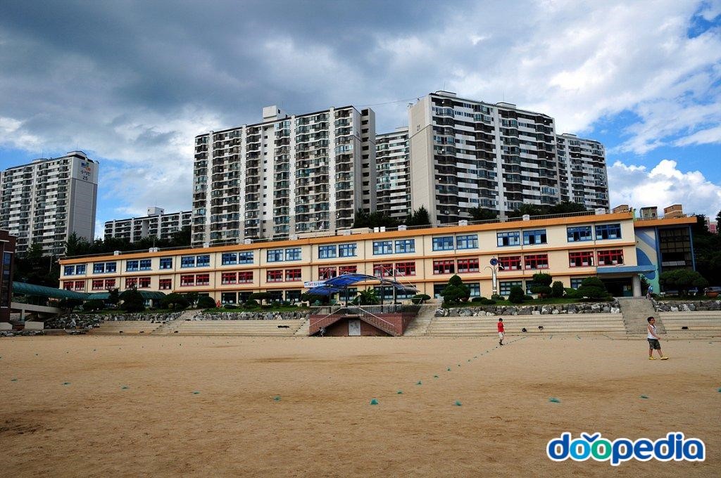 동해중앙초등학교