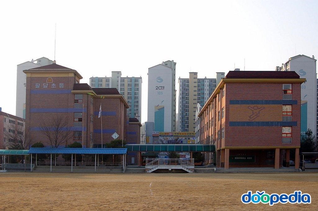 대구팔달초등학교