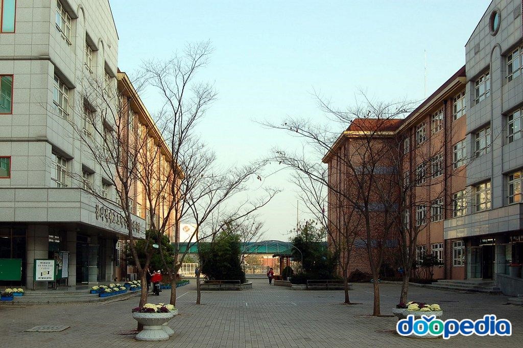 대구팔달초등학교