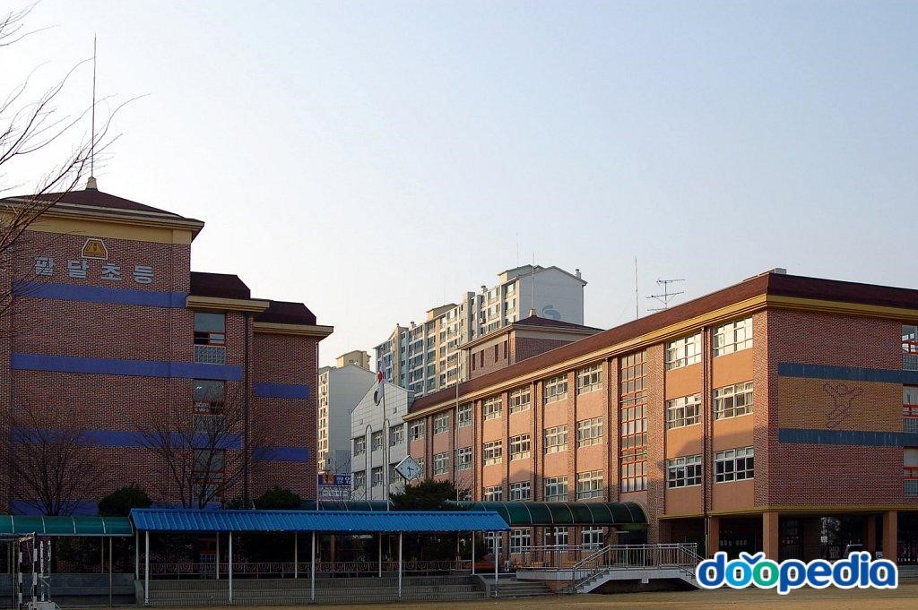 대구팔달초등학교