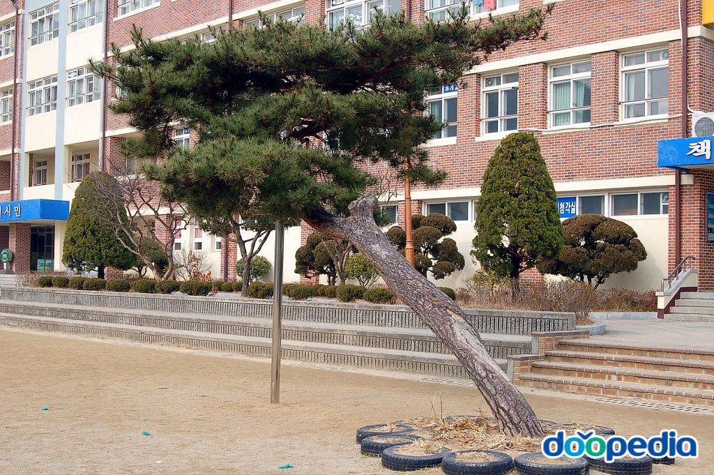 대구성북초등학교 - 성북초등학교