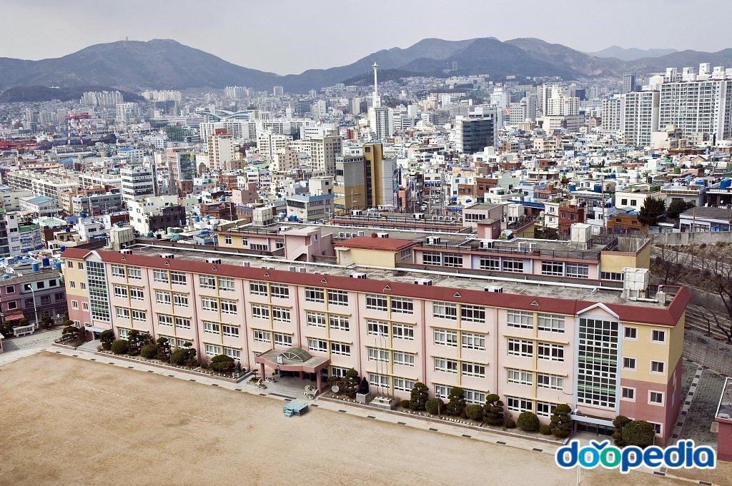 남항초등학교 - 남항초등학교 전경
