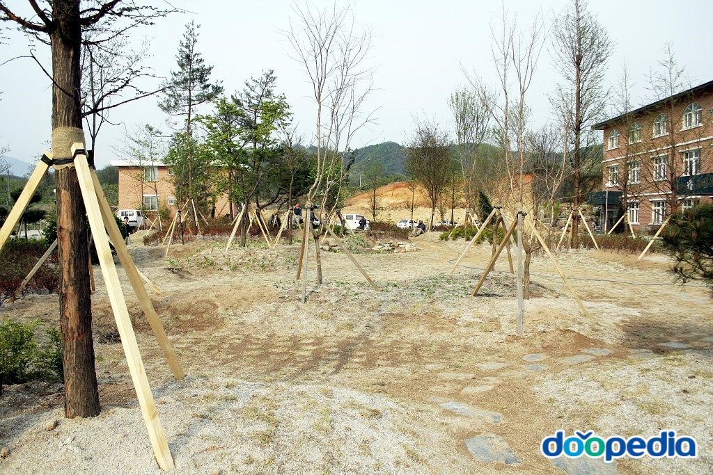 춘천삼육초등학교 - 삼육초등학교 조경공원