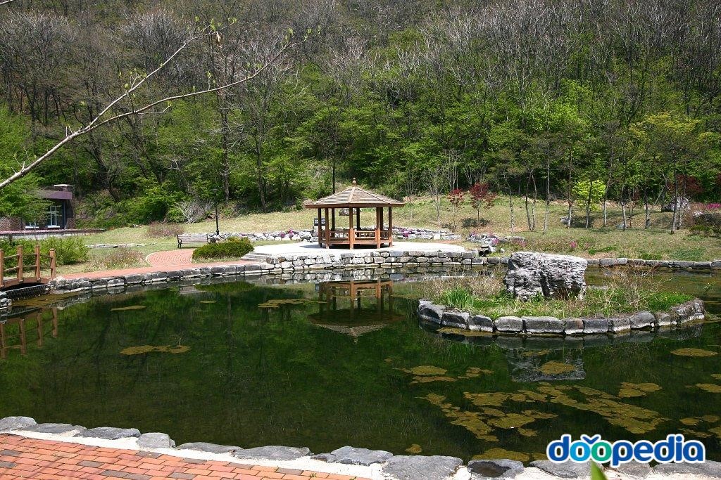 마차초등학교 - 마차초등학교 연못