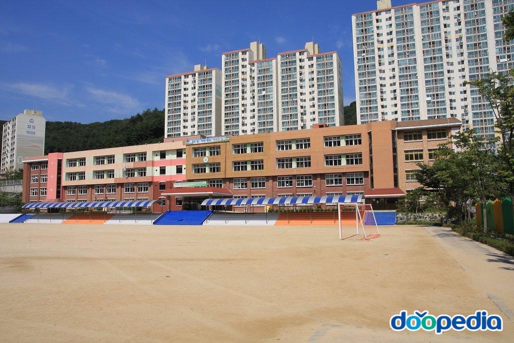 안양양지초등학교 - 양지초등학교