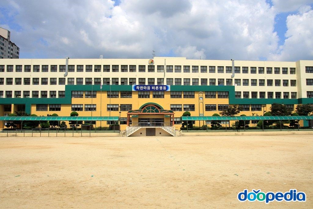 안양신기초등학교 - 신기초등학교