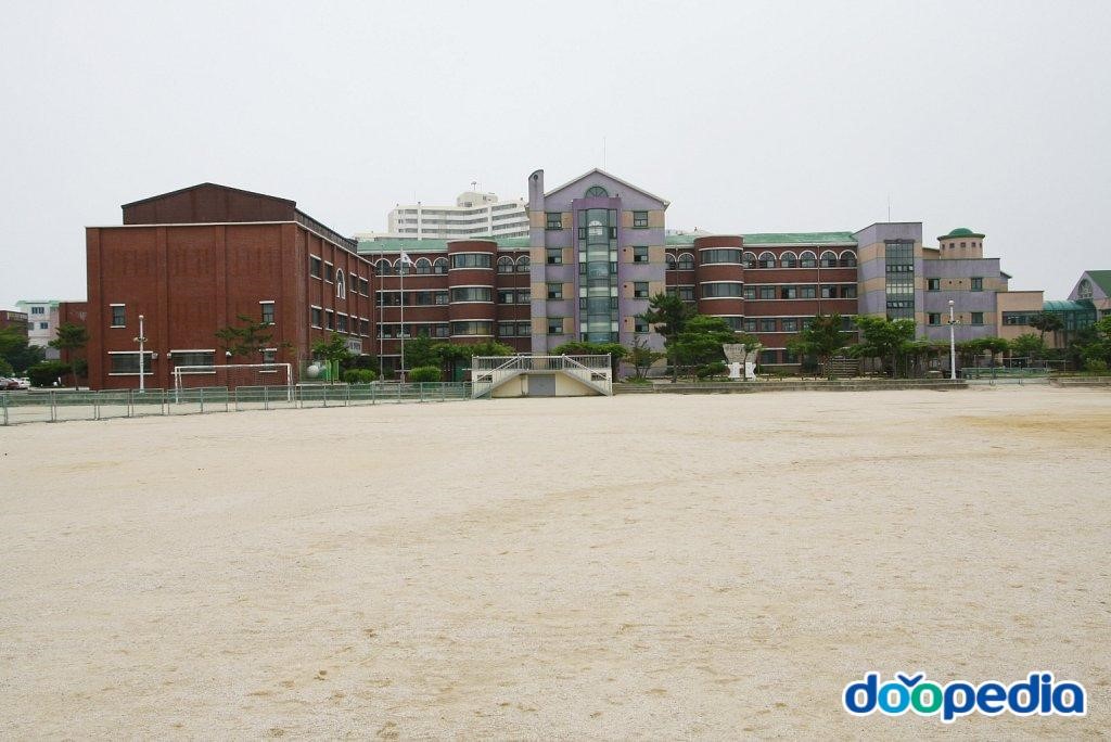 영랑초등학교