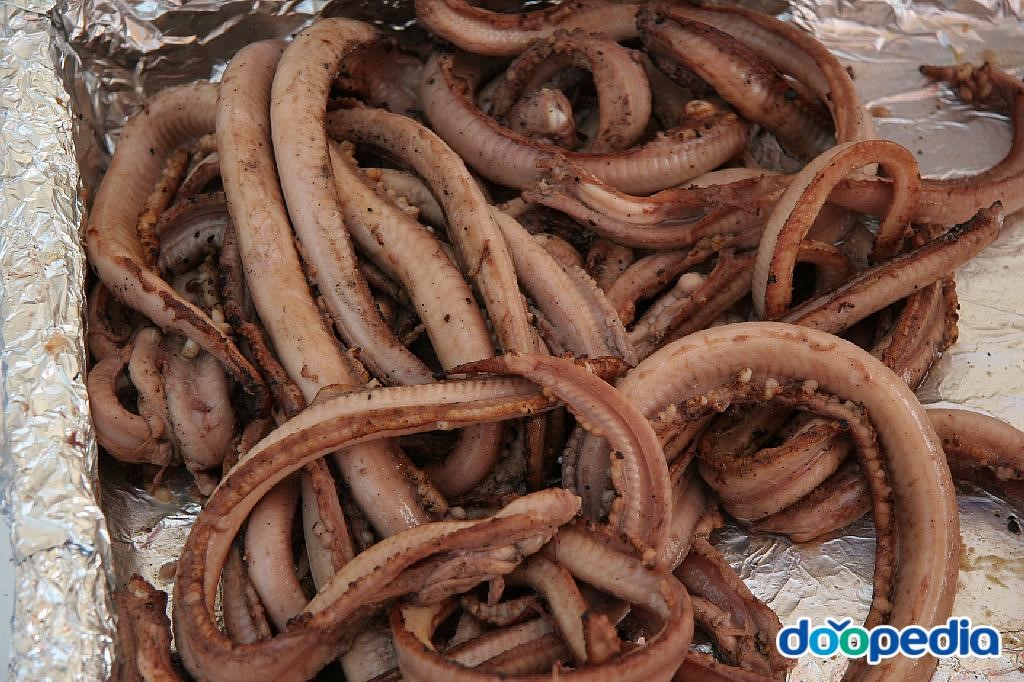 먹장어 - 자갈치 곰장어 구이