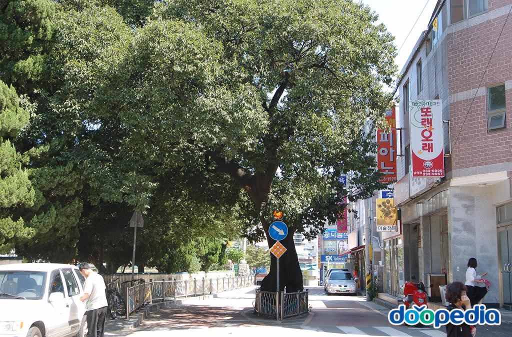 남목초등학교 - 남목초등학교 앞
