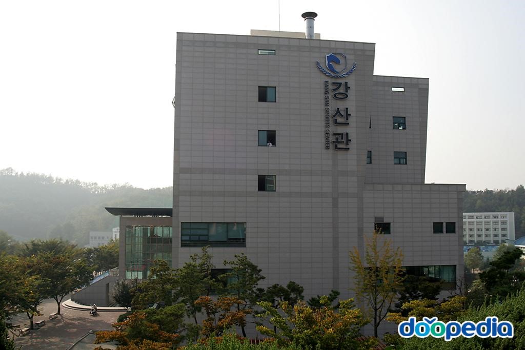 수성대학교 - 대구산업정보대학