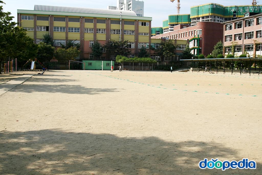 대구시지초등학교