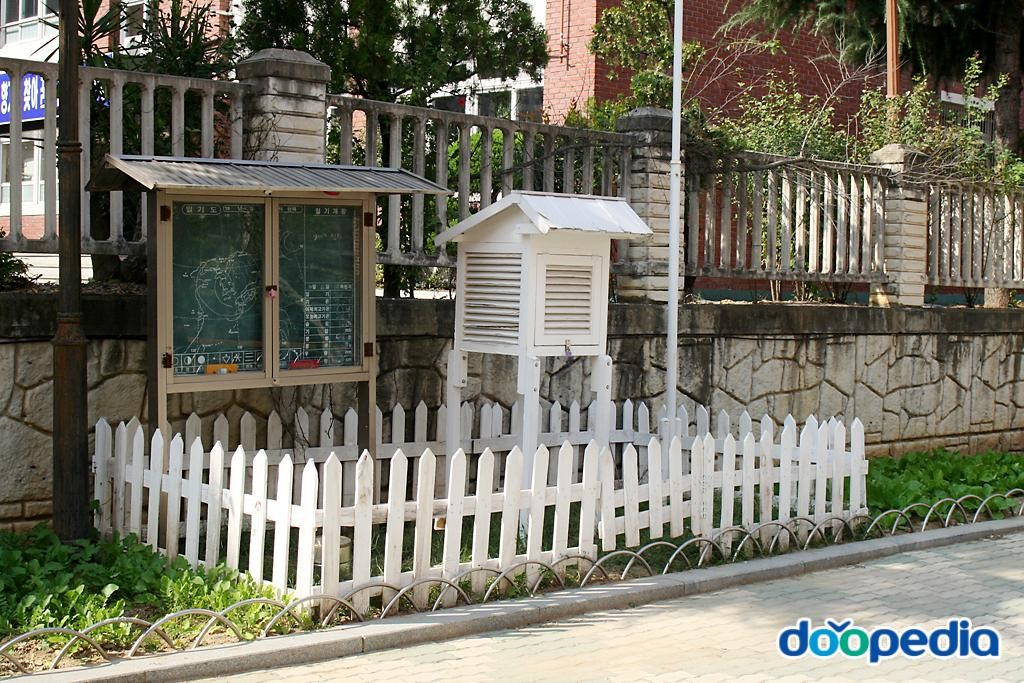 대구시지초등학교