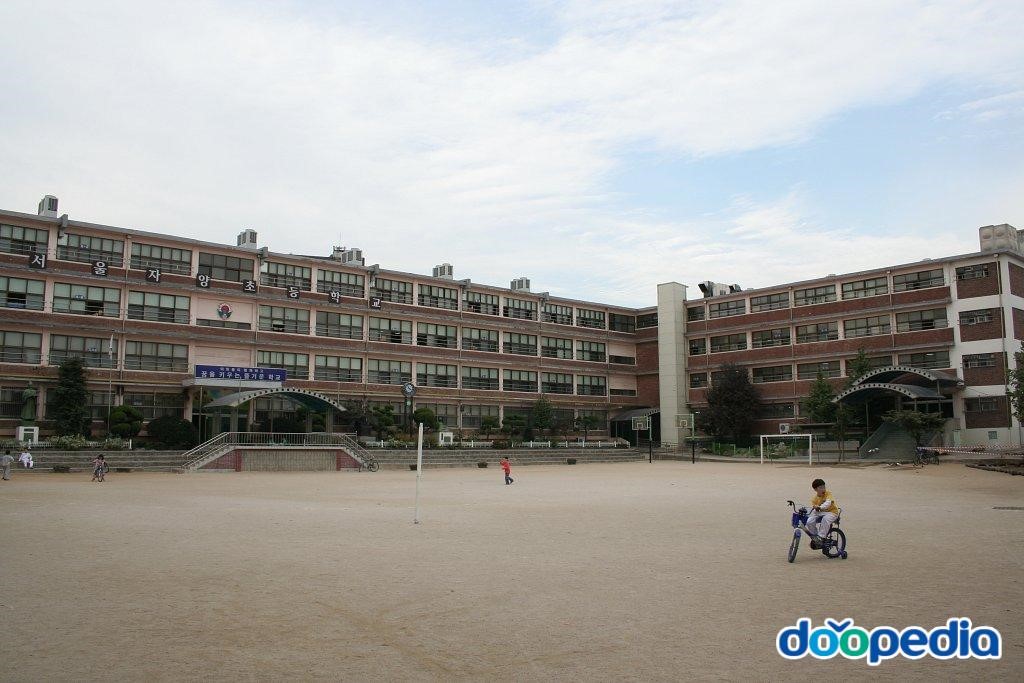 서울자양초등학교