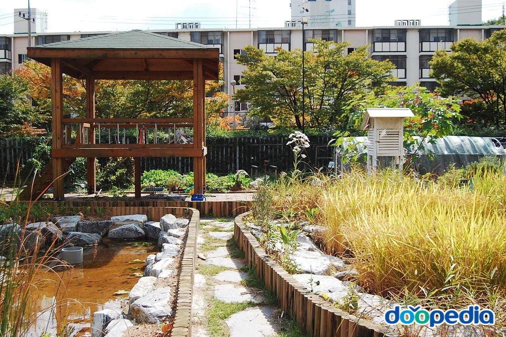 선일초등학교 - 선일초등학교 학교숲