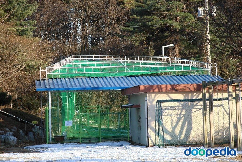 송곡초등학교 - 송곡초등학교 골프연습장
