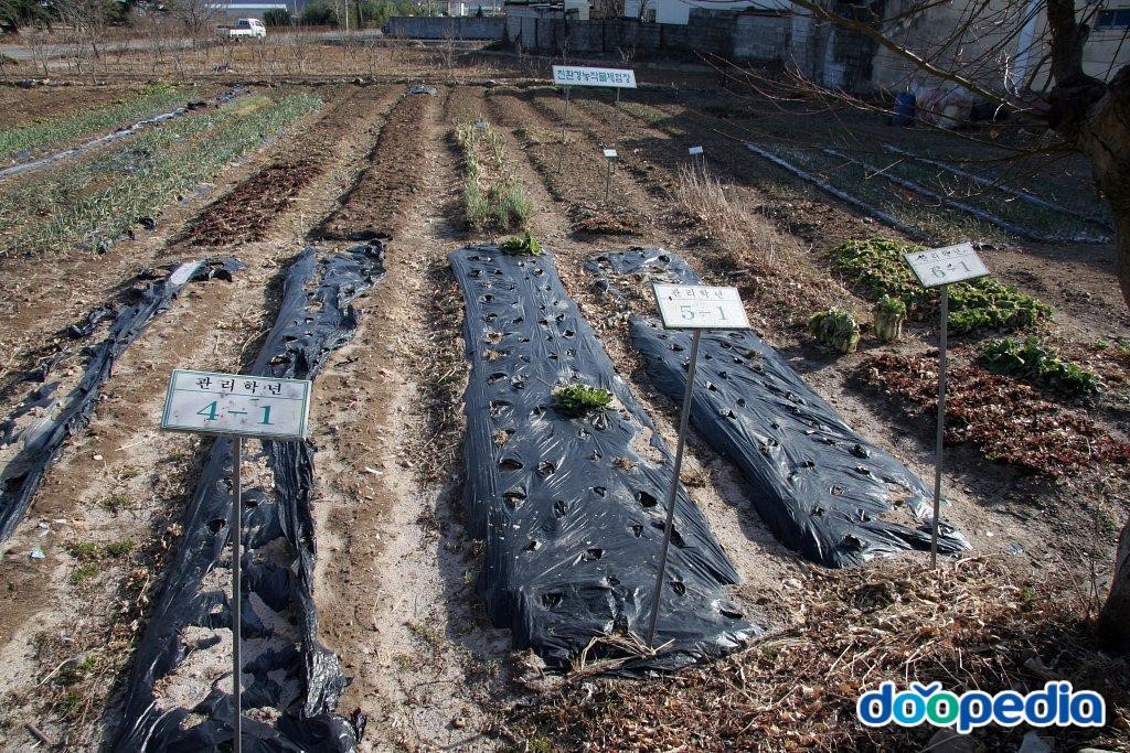 길천초등학교