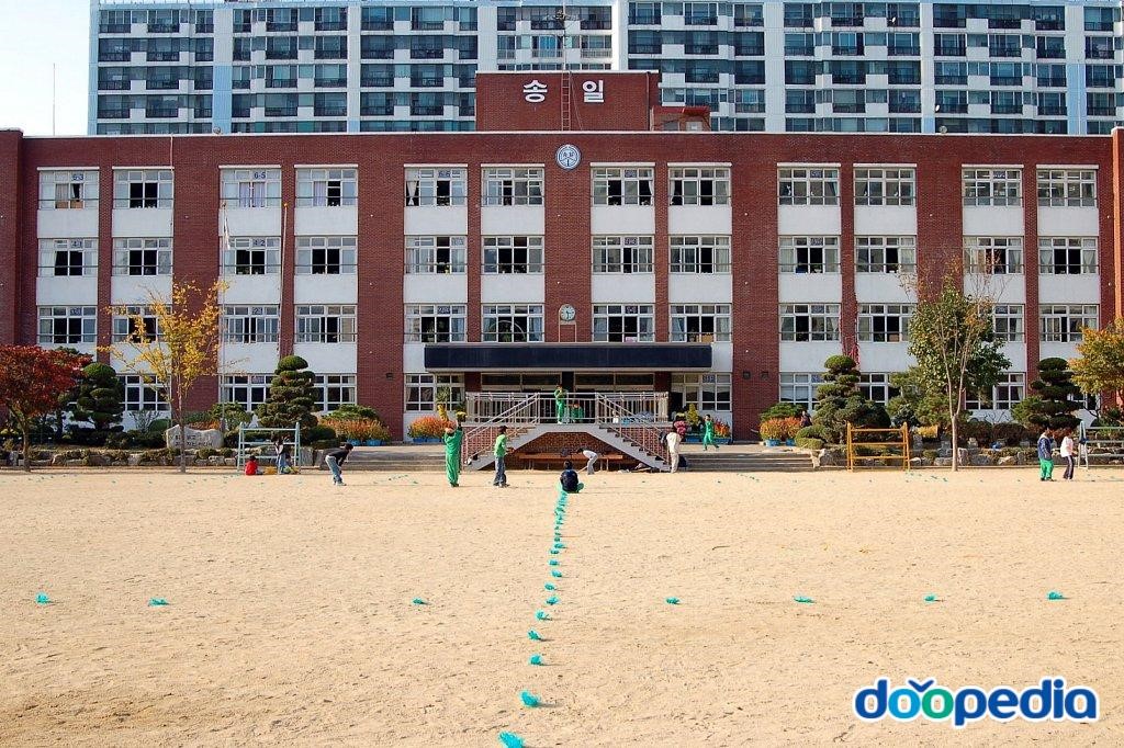 대구송일초등학교 - 송일초등학교