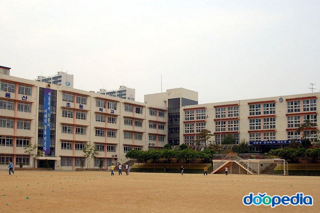대구용산초등학교 - 용산초등학교