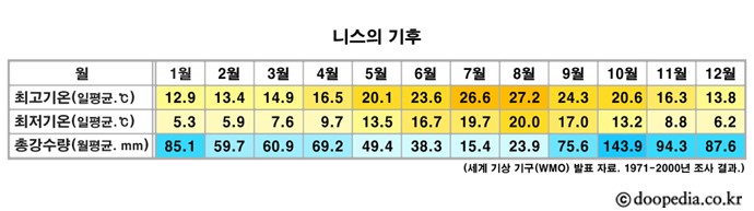 니스 본문 이미지 1