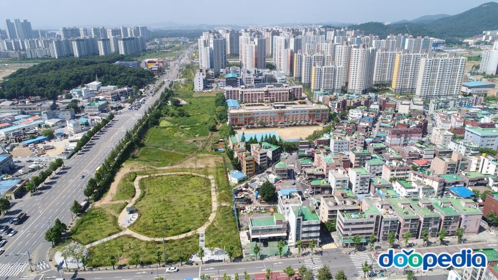 신현동