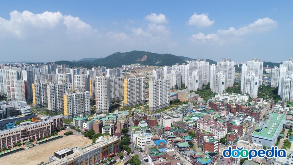 신현동