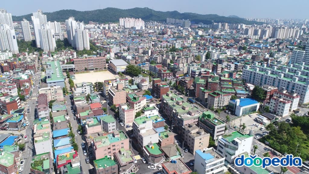 신현동