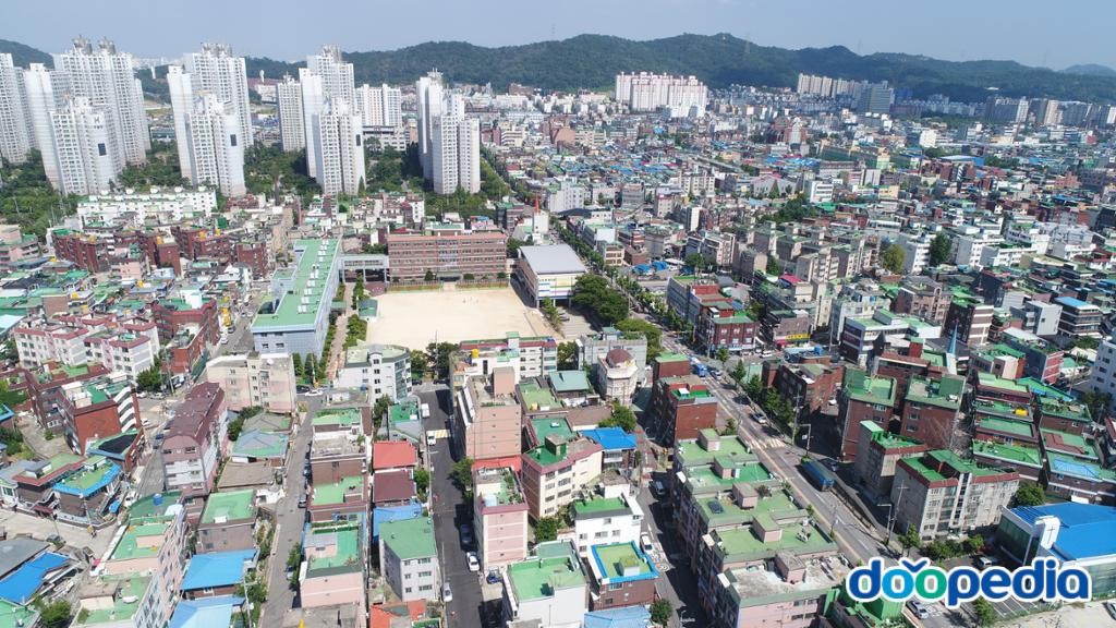 신현동