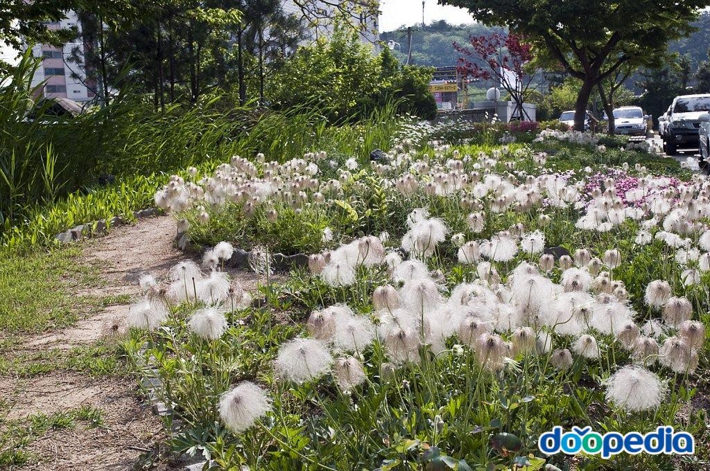 대산초등학교 - 대산초등학교 자연학습체험장