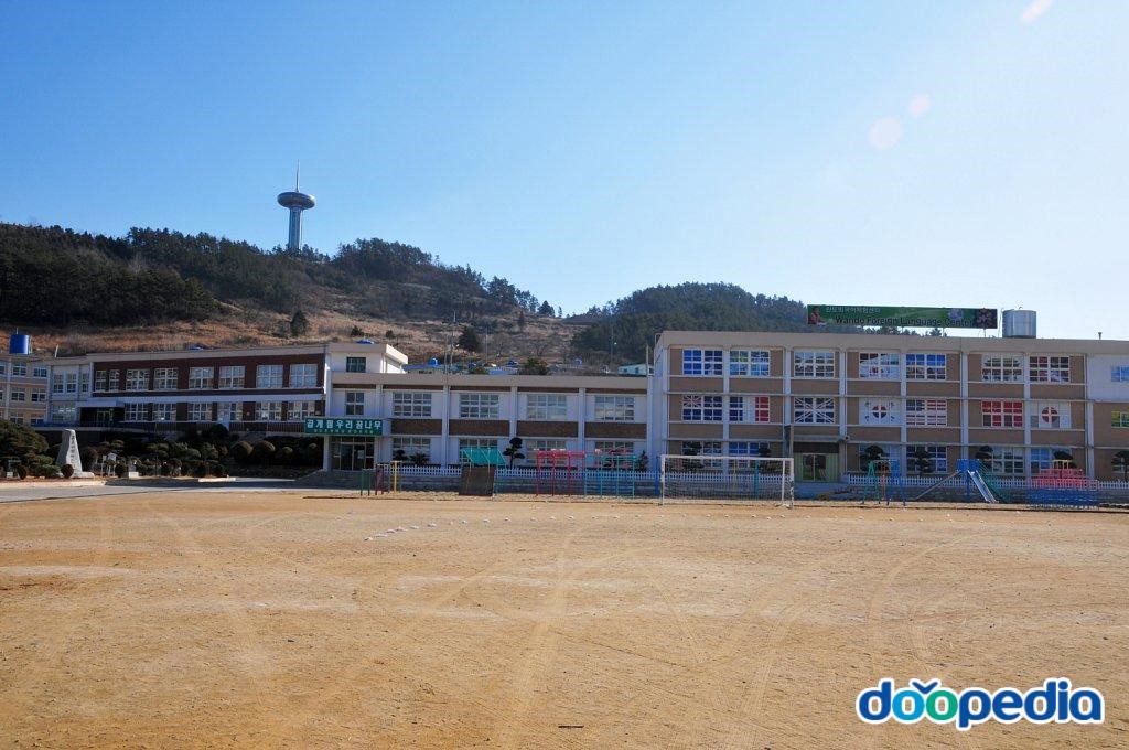 완도초등학교