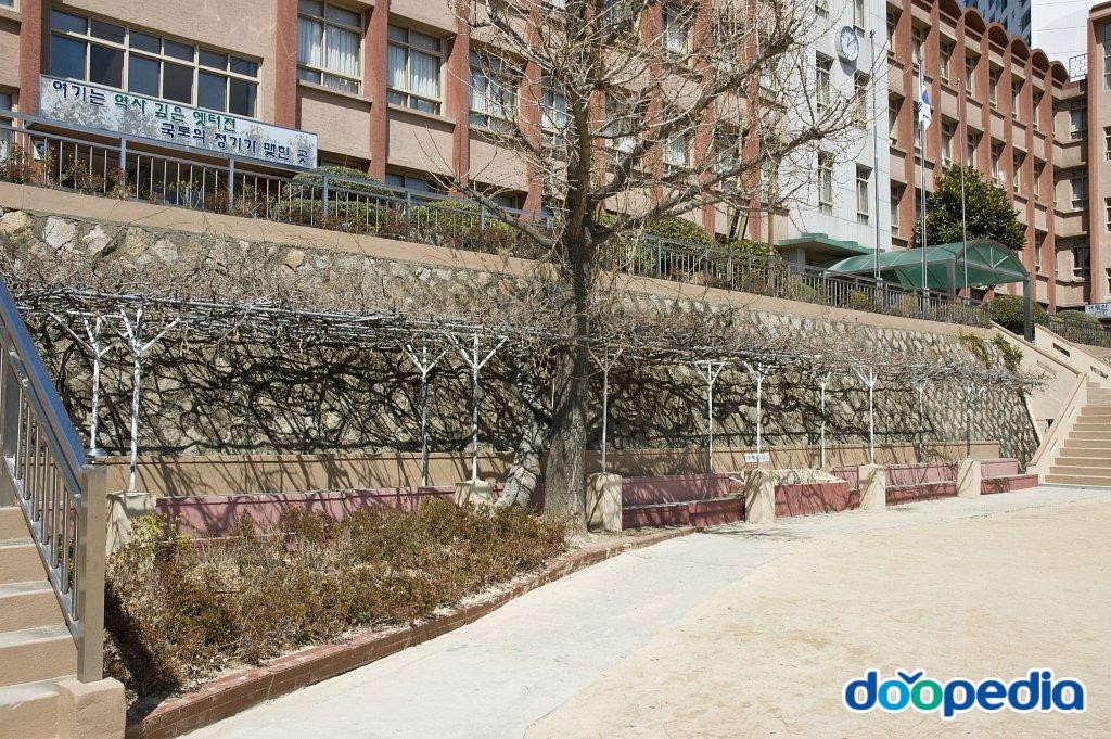 부산중앙여자중학교 - 부산중앙여자중학교 스탠드