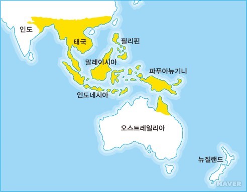파피오페딜룸속 본문 이미지 1