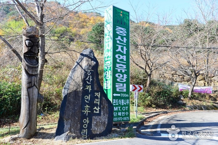 중산리자연휴양림