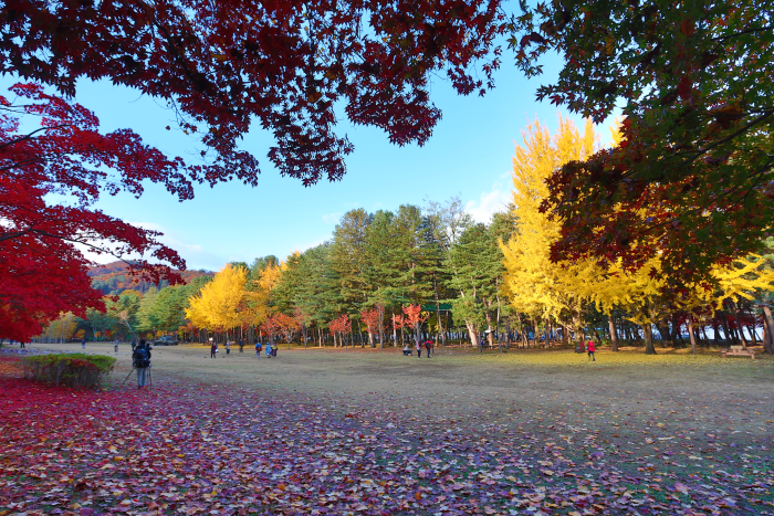 대경녹색기술직업전문학교 이미지