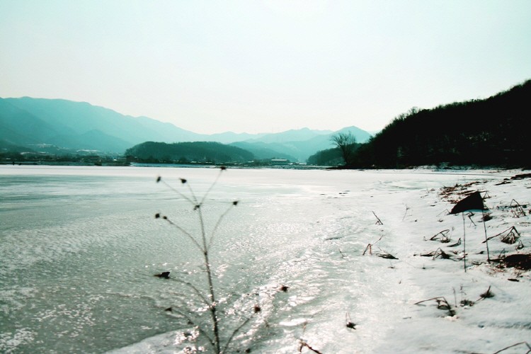시장저수지(시장지)