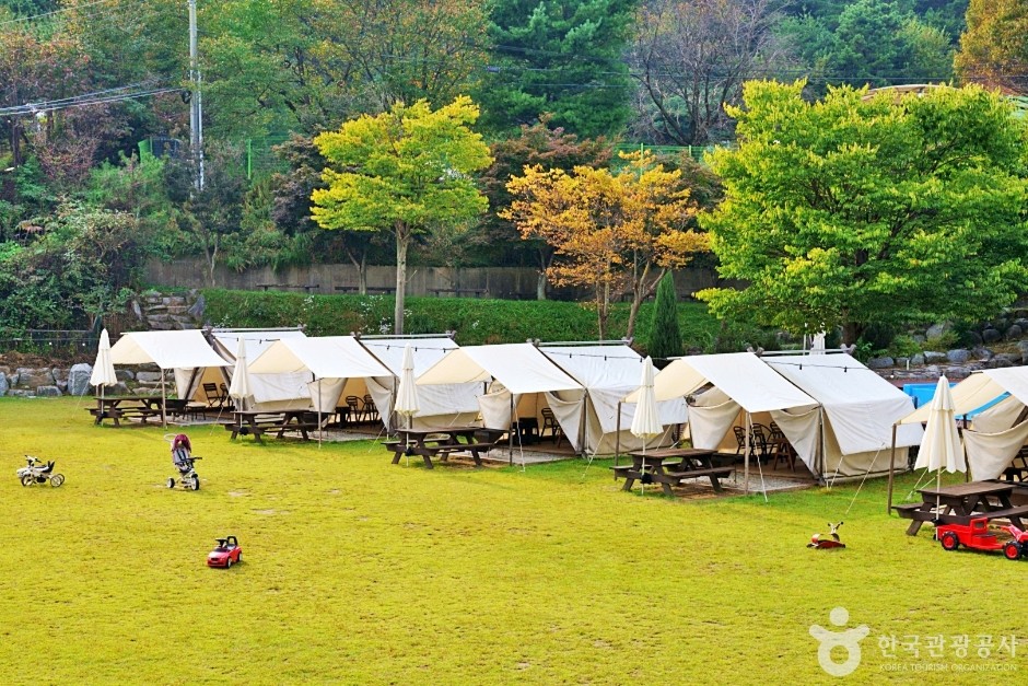 보광산관광농원