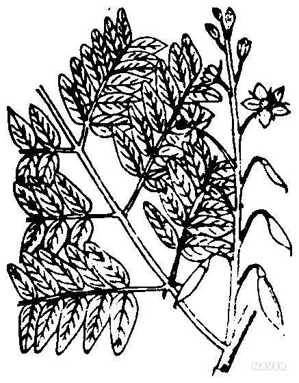 소방