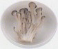 버섯 1접시(생 30g)