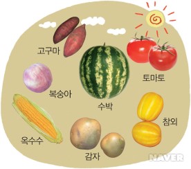 여름